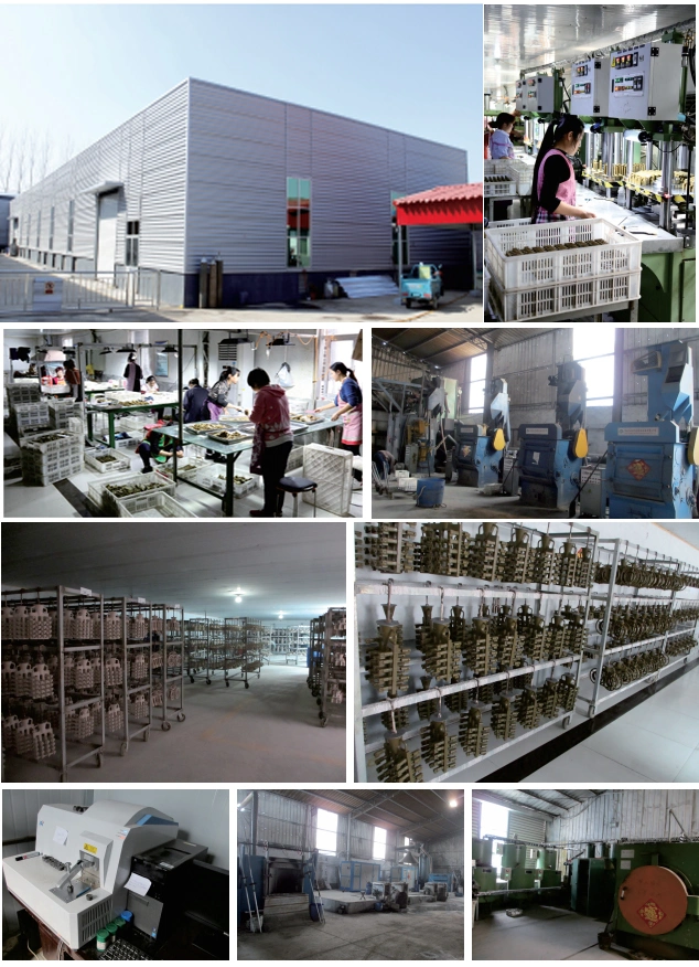 Quality Products OEM Stainless Steel Titanium Investment Casting and Foundry